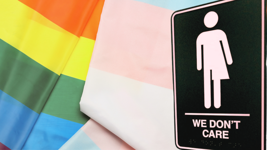 Drapeau LGBTQIA+, drapeau trans, et panneau avec un picto à la fois homme et femme avec le texte "we don't care"